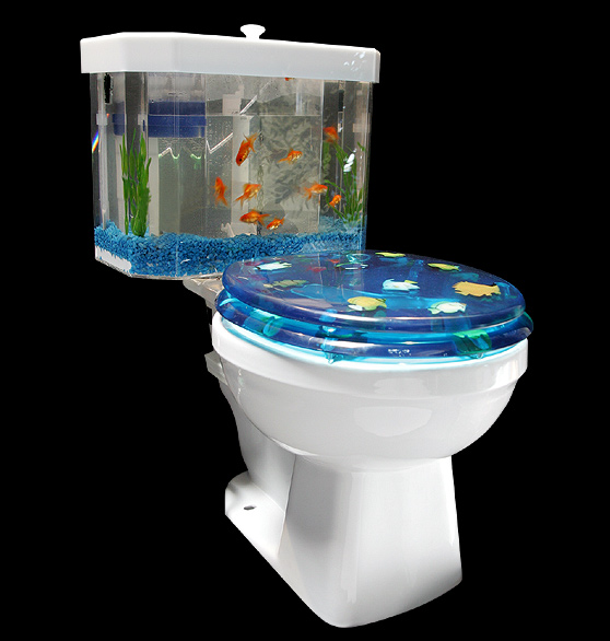 Images Of Fish Tanks. Bathroom Fish Tanks