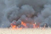 brush fire 1