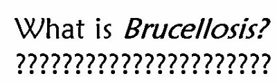 what-is-brucelosisi-copy.jpg