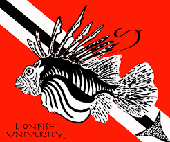 The Lionfish  drawing 